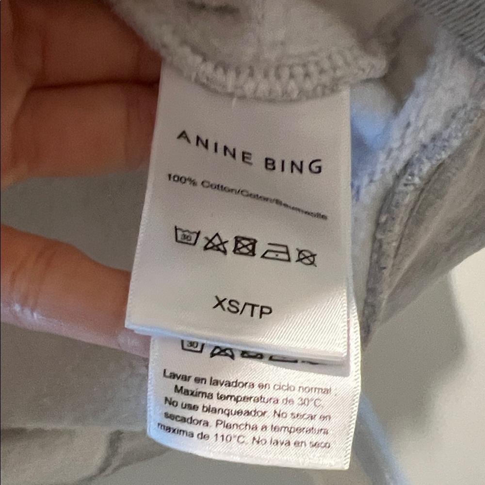 Anine Bing Sport Light Gray Sweatshirt - Picture 3 of 6